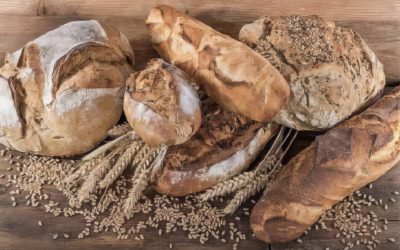 Ouverture de la boulangerie
