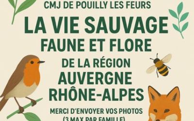 Concours photo « La vie sauvage en Auvergne Rhône-Alpes »