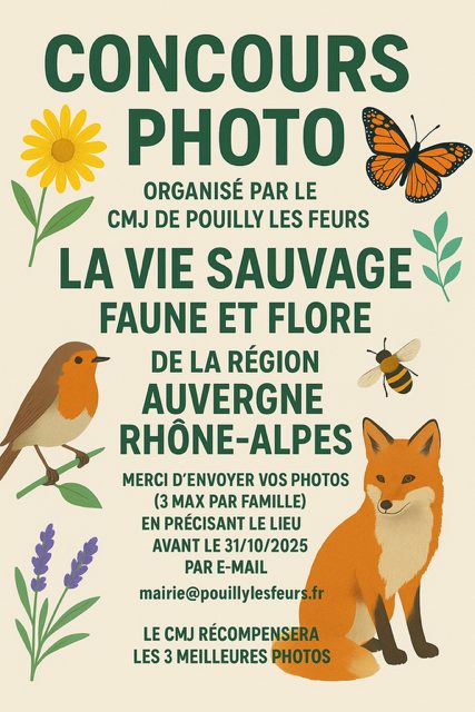 Concours photo