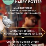 Exposition Harry Potter à la Bibliothèque de Pouilly-lès-Feurs